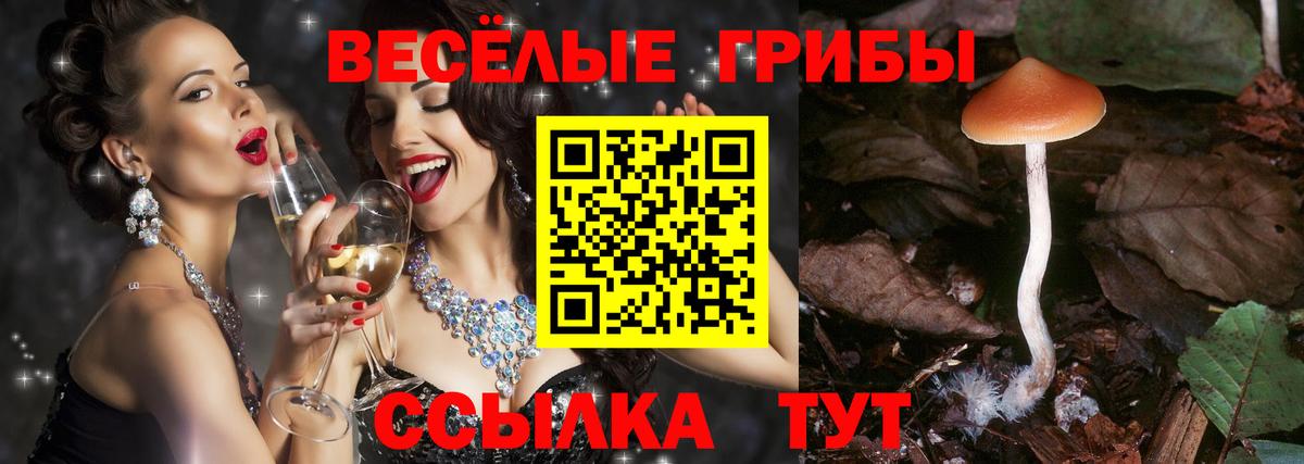 Галлюциногенные грибы Magic Shrooms Стрежевой